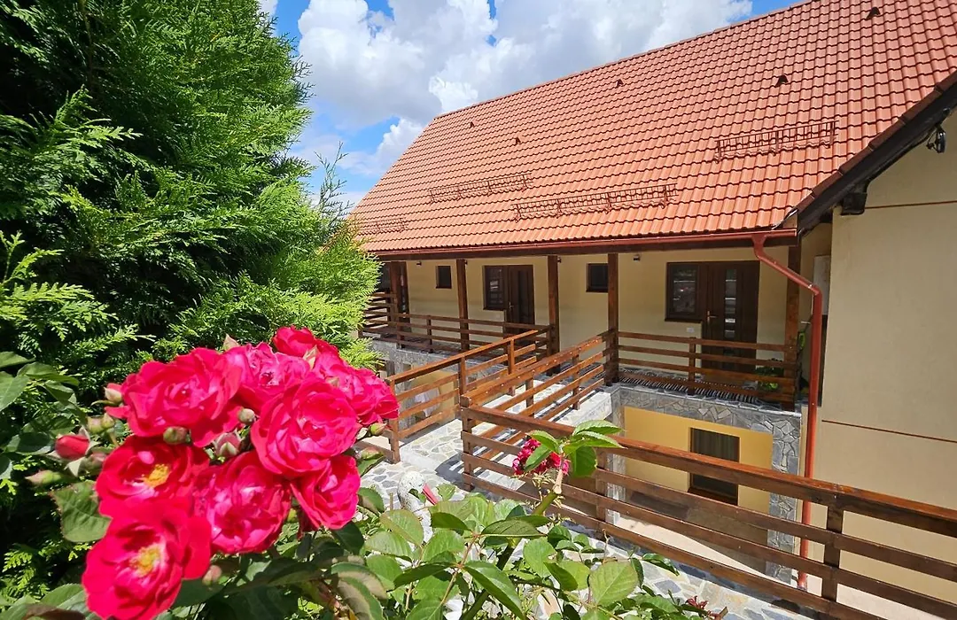 Matei Residence-1